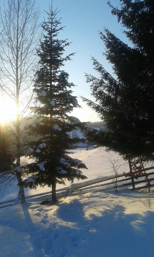 Cottage Palitra Yablunytsya Esterno foto