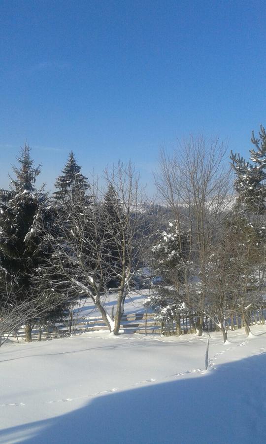 Cottage Palitra Yablunytsya Esterno foto