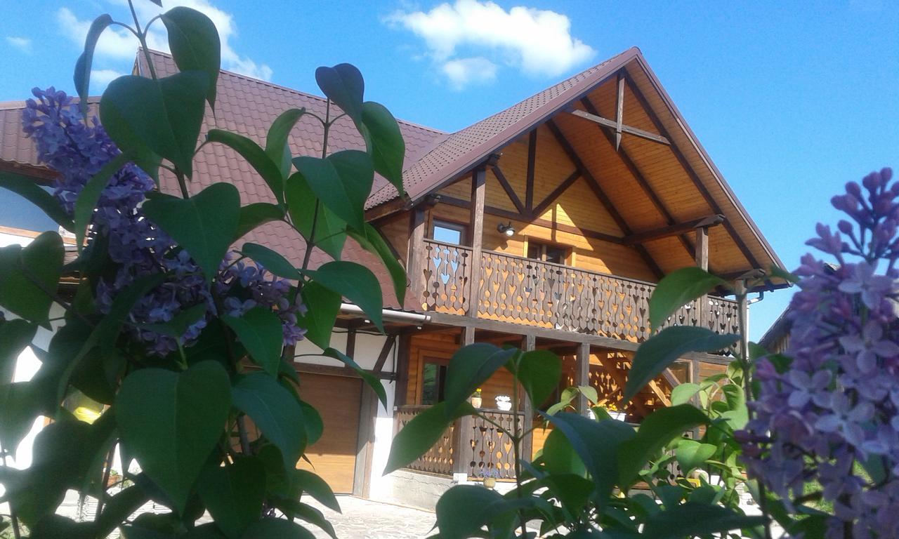 Cottage Palitra Yablunytsya Esterno foto