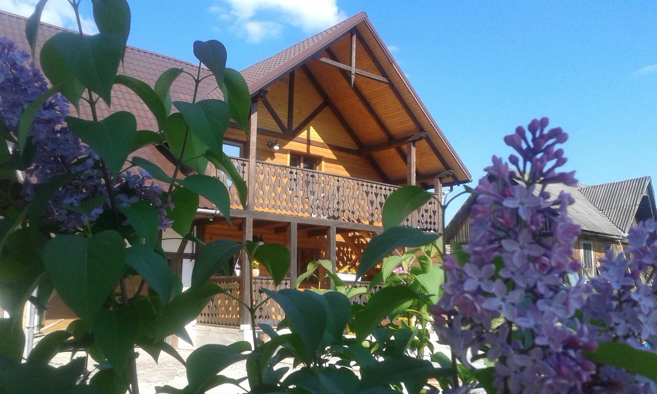 Cottage Palitra Yablunytsya Esterno foto